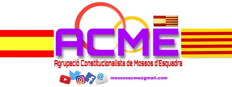 ACME 800x300
