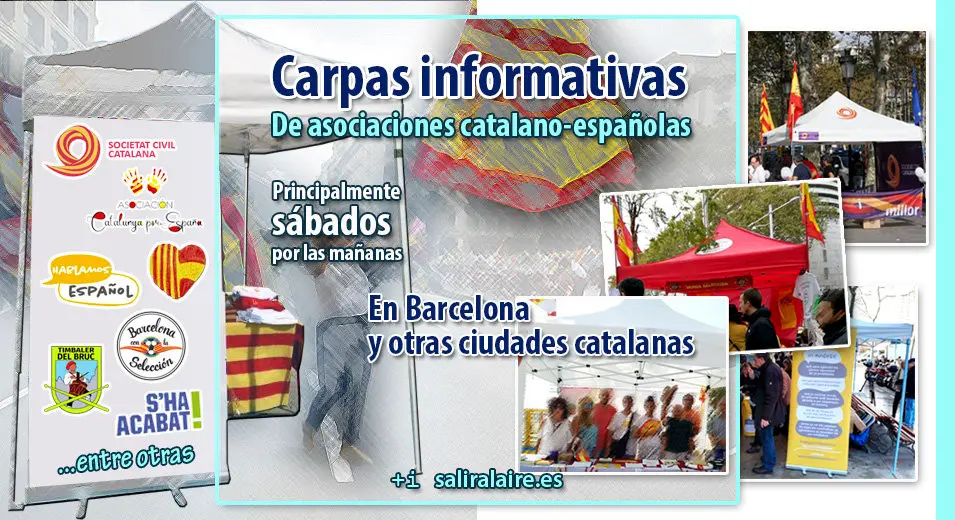 2019-03 carpas