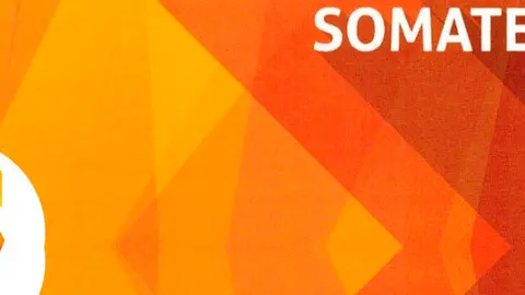 Somatemps 800x300
