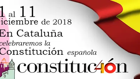 2018-12-06 constitucion 800x300 V2