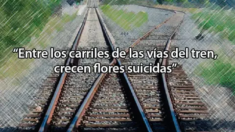 2019-05-24-tribunal-cuentas-Vx