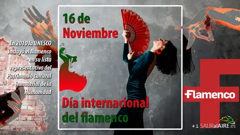 2024-11-16-Dia-Internaciona-Flamenco-1w